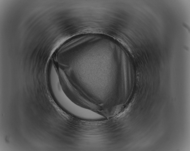 X0000091730981200709211017