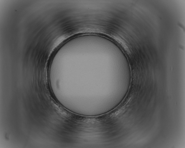 X0000091730982200709211017