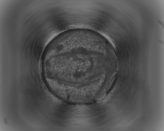 X0000091730983200709211016