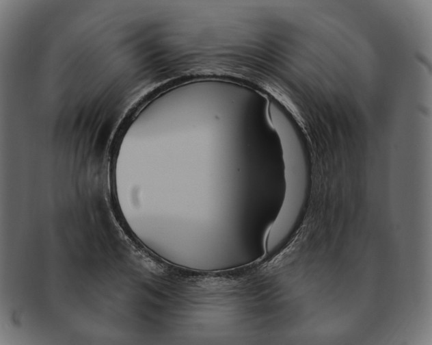 X0000091730984200709211016