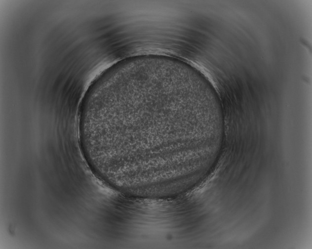 X0000091730987200709211016