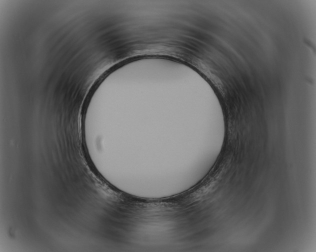 X0000091730988200709211016