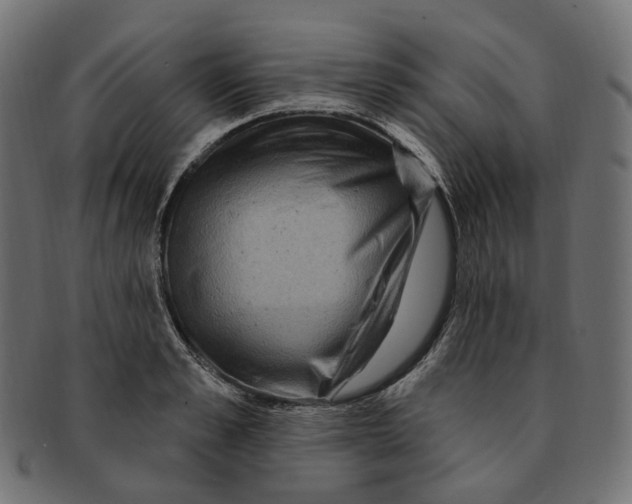 X0000091730989200709211016