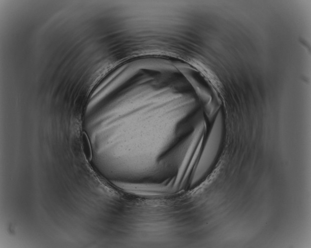 X0000091730993200709211016