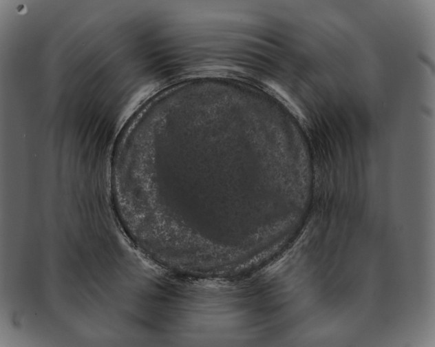 X0000091730994200709211016