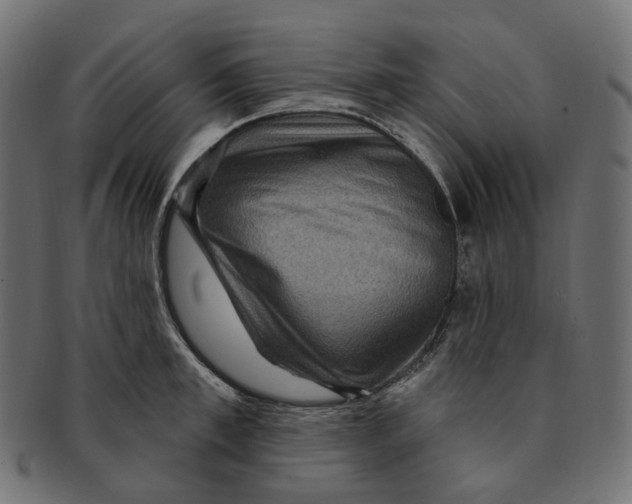 X0000091730997200709211016