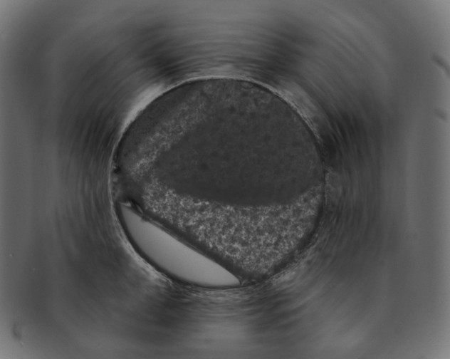 X0000091730998200709211016