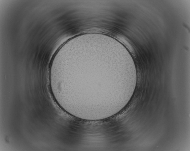 X0000091731000200709211016