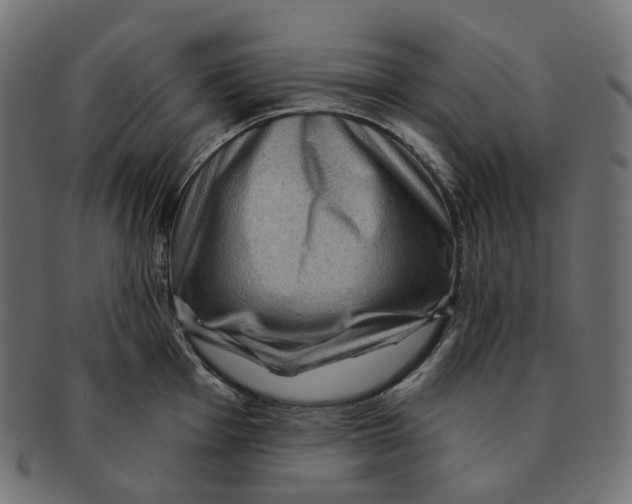 X0000091731001200709211016