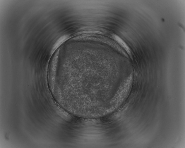 X0000091731002200709211016