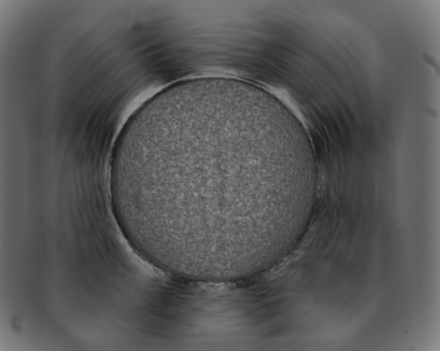 X0000091731003200709211016