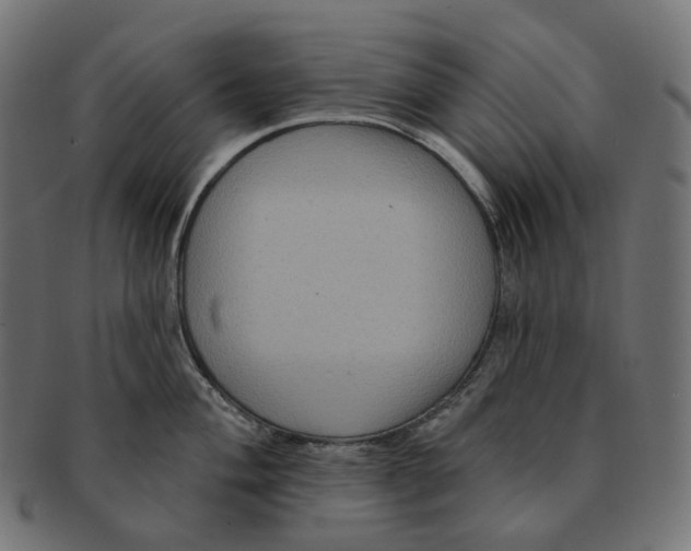 X0000091731004200709211016