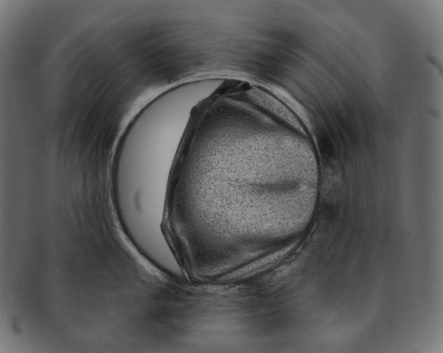 X0000091731005200709211016