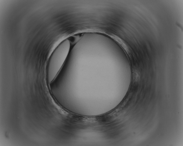 X0000091731006200709211016