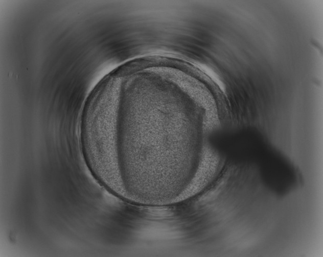 X0000091731007200709211016