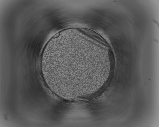 X0000091731008200709211016