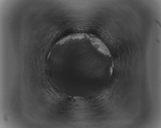 X0000091731009200709211016