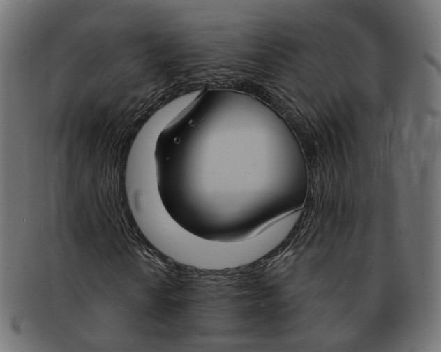 X0000091731010200709211016