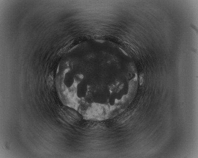 X0000091731011200709211016