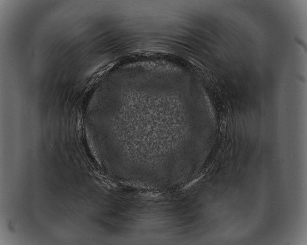 X0000091731014200709211016