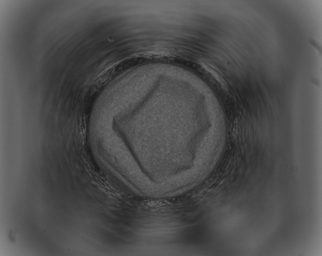 X0000091731015200709211016