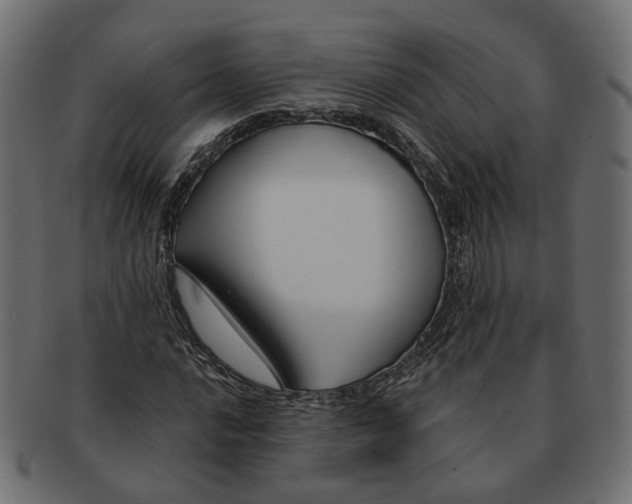 X0000091731016200709211016