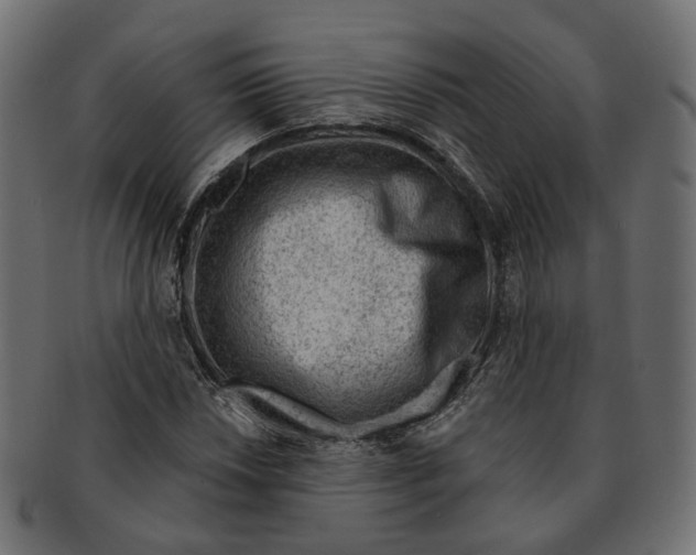 X0000091731018200709211016