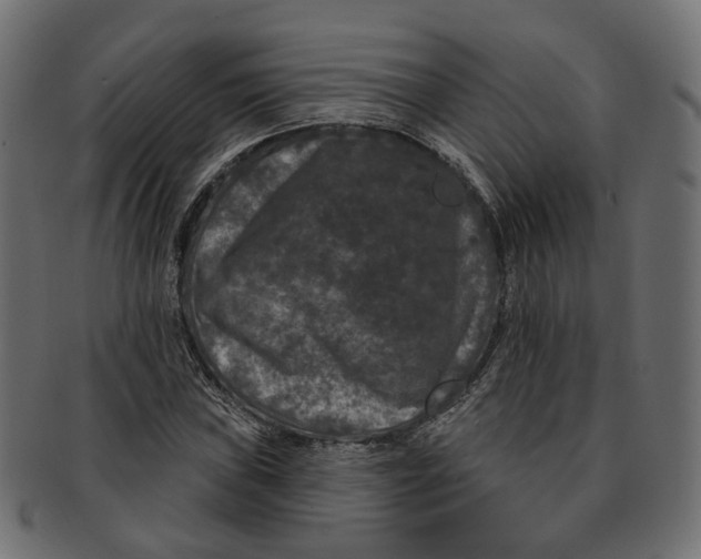 X0000091731019200709211016