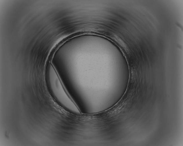 X0000091731020200709211016