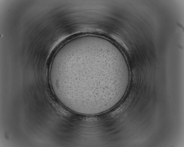 X0000091731021200709211016