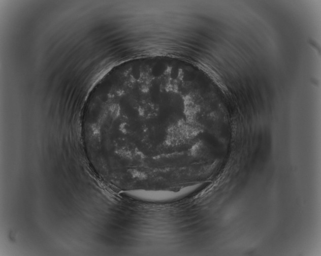 X0000091731023200709211016