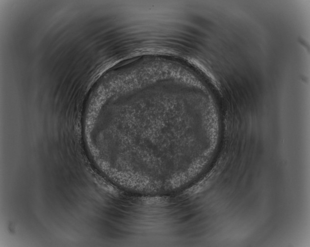 X0000091731025200709211016