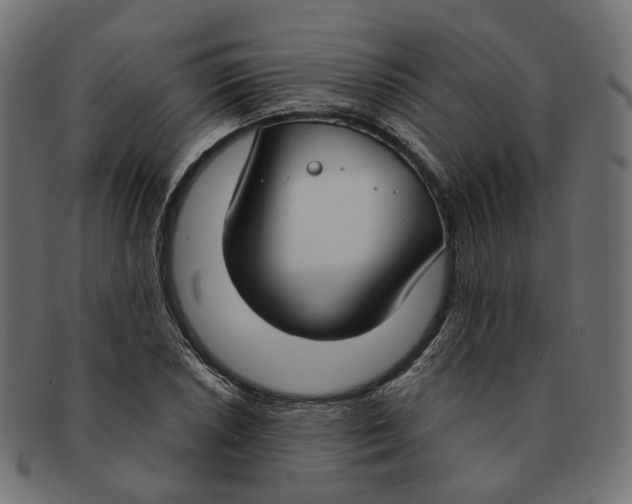 X0000091731026200709211016