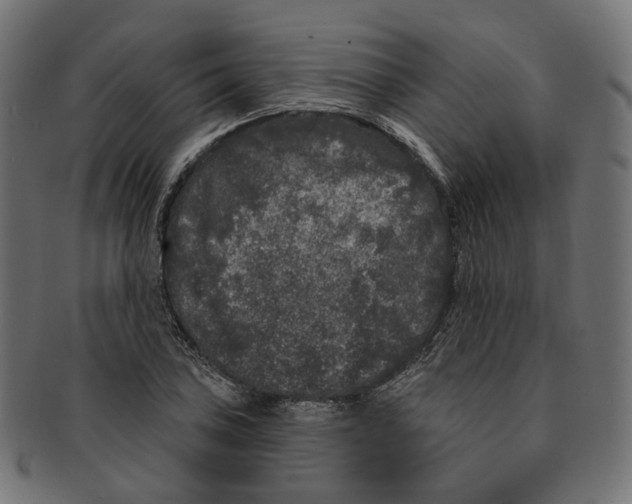 X0000091731027200709211016