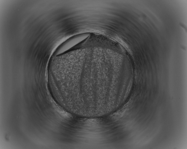 X0000091731028200709211016