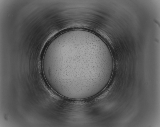 X0000091731029200709211016