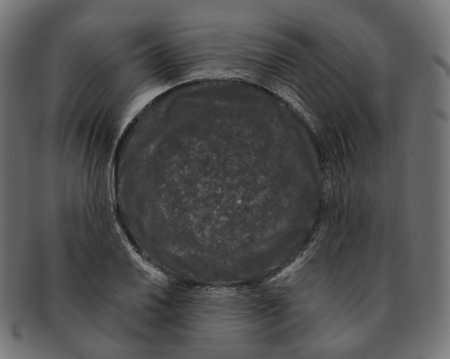 X0000091731030200709211016