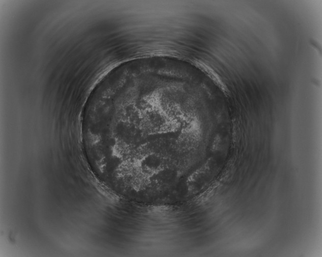 X0000091731031200709211016