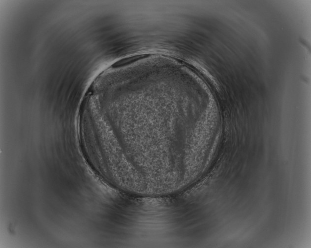 X0000091731032200709211016