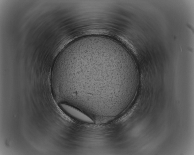 X0000091731033200709211016