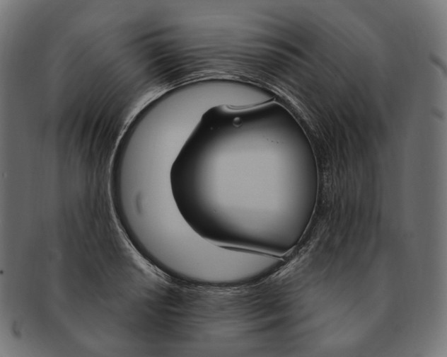 X0000091731034200709211016