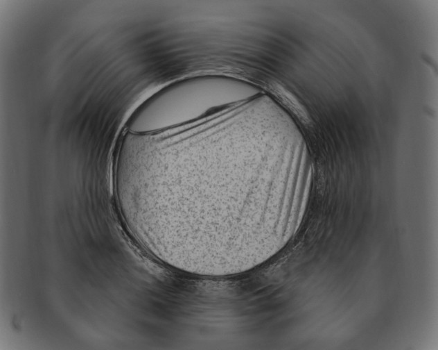 X0000091731036200709211016