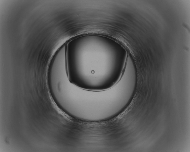 X0000091731038200709211016