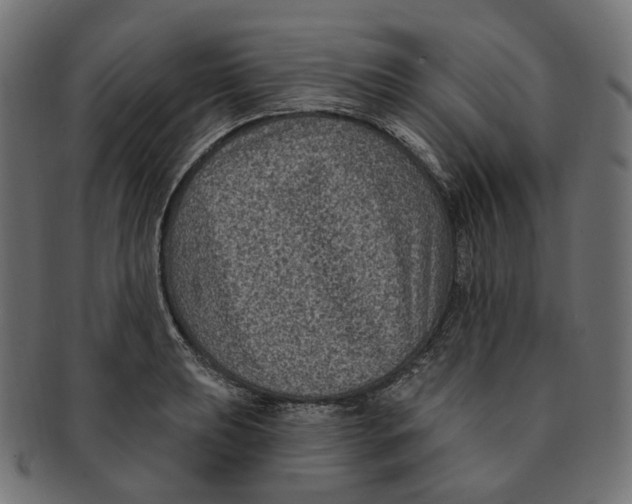 X0000091731039200709211016