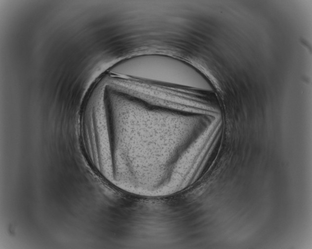 X0000091731040200709211016