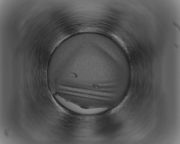 X0000091731041200709211016