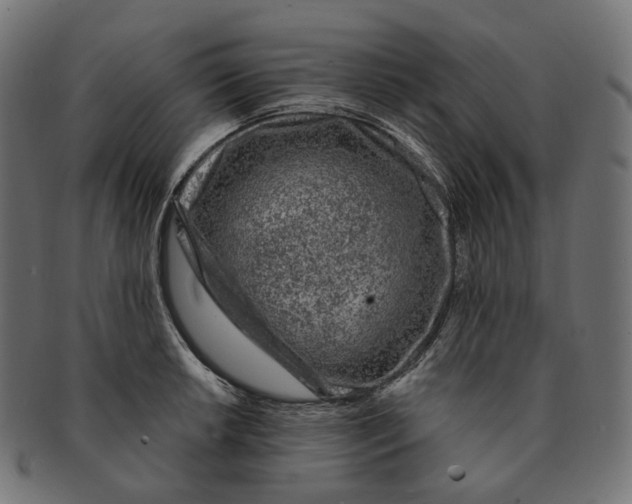 X0000091731042200709211016