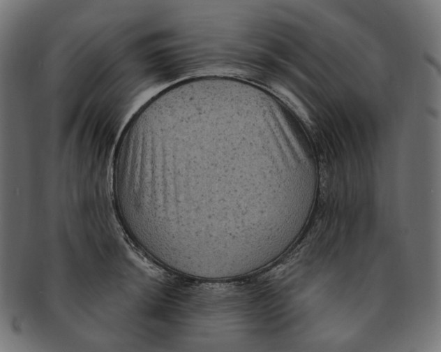 X0000091731044200709211016