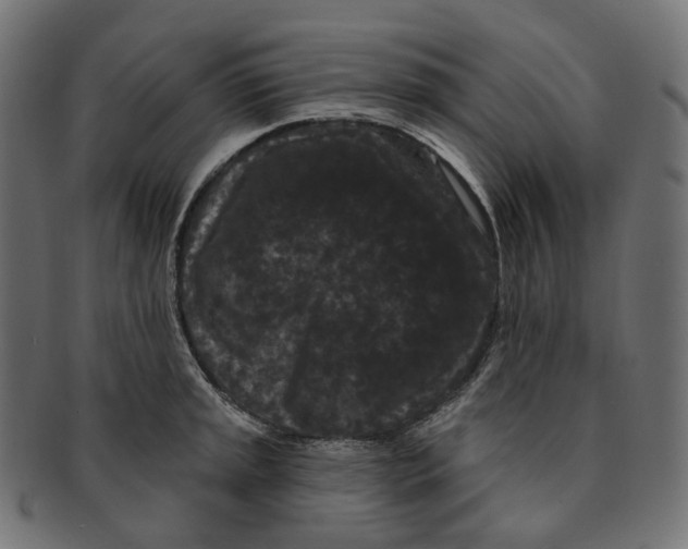 X0000091731045200709211016