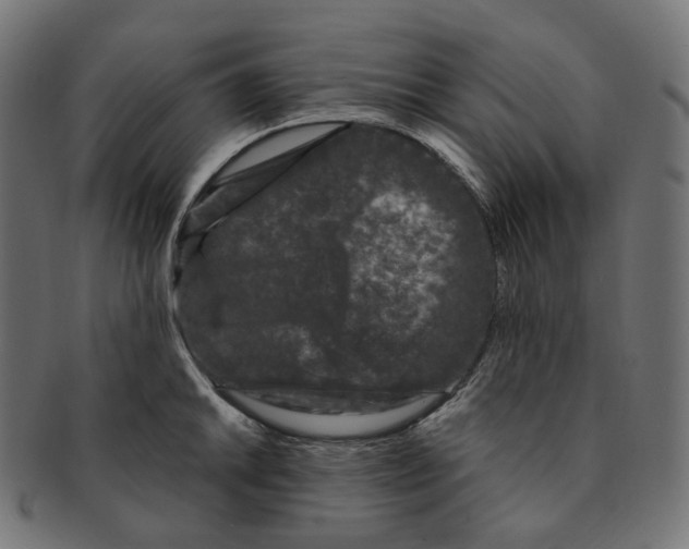 X0000091731046200709211016